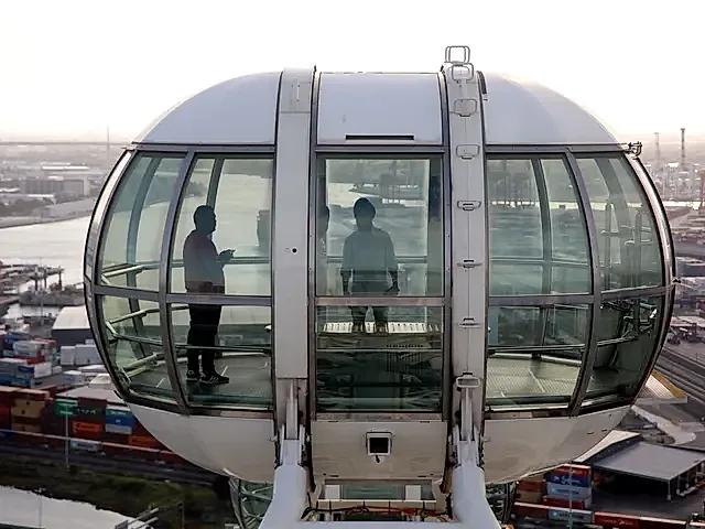 Capsule / Observation